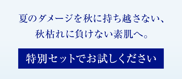 特別セットでお試しください