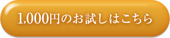 1,000円のお試しはこちら