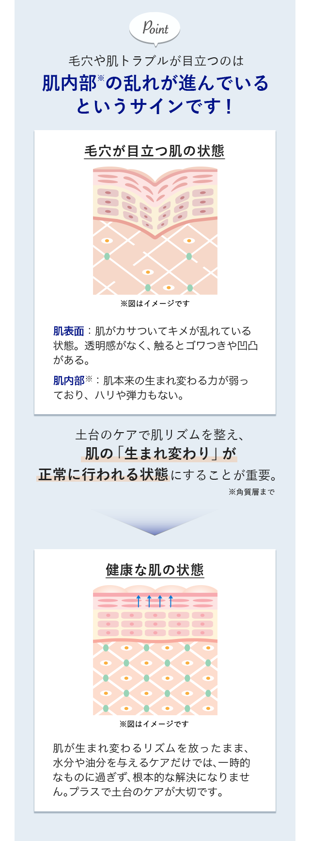 毛穴（開き・黒ずみ）
