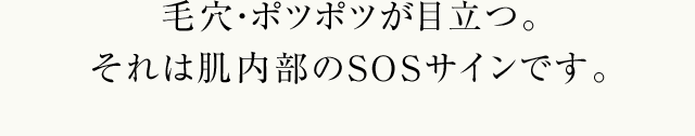 毛穴は「目立たなくする」だけでは解決できません。毛穴が目立つ ＝ 肌のSOSサインです。