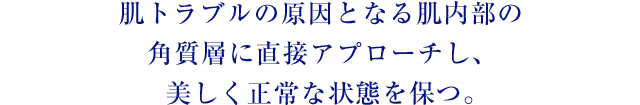 肌トラブルの原因となる肌内部の角質層に直接アプローチし、美しく正常な状態を保つ。