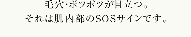 毛穴・ポツポツが目立つ。それは肌内部のSOSサインです。