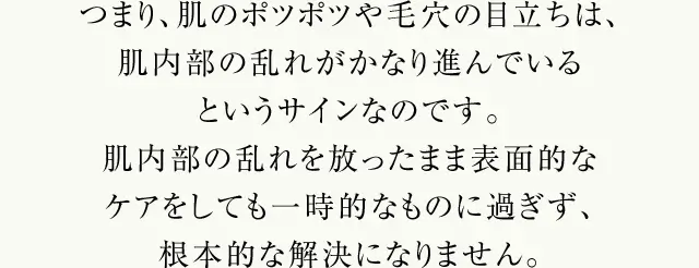 つまり、肌のポツポツや毛穴の目立ちは、肌内部の乱れがかなり進んでいるというサインなのです。肌内部の乱れを放ったまま表面的なケアをしても一時的なものに過ぎず、根本的な解決になりません。