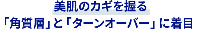 美肌のカギを握る「角質層」と「ターンオーバー」に着目