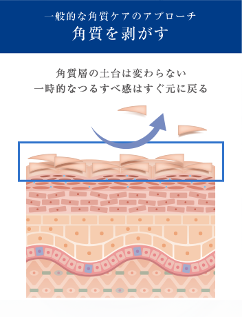 一般的な角質ケアのアプローチ 角質を剥がす 角質層の土台は変わらない 一般的なつるすべ感はすぐ元に戻る